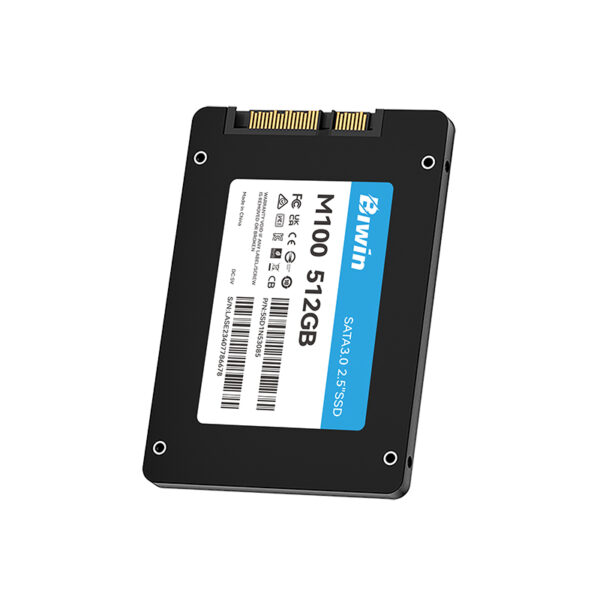 SSD BIWIN M100 512GB